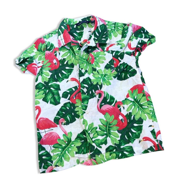 Size 5 Janie and jack white green palm flamingo short sleeve button up Default Title / 5 / Boy
